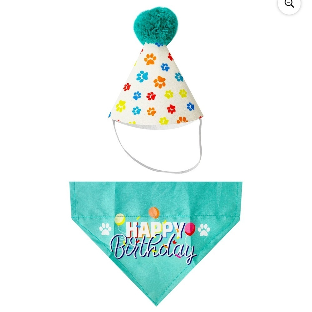 Simply Sweet Dog Birthday Hat and Bandana Set Multicolor